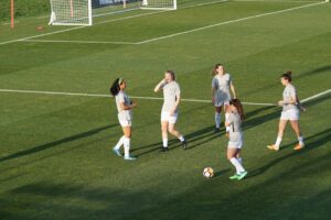 Jogo Online Grátis de Futebol: A Paixão Brasileira