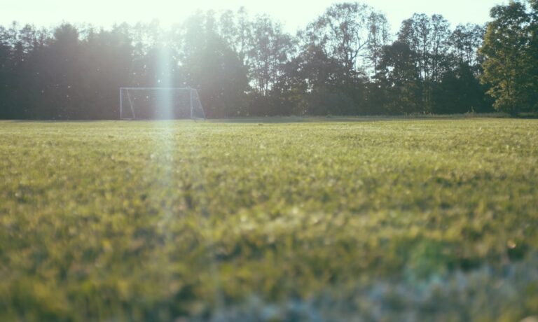Jogo de Futebol com Modo Carreira: Uma Experiência Imersiva