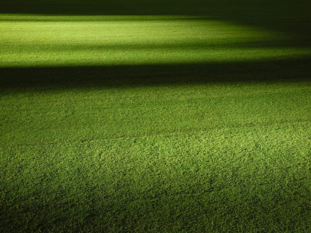 Photo Soccer field