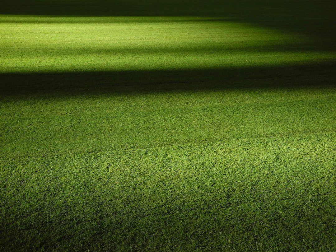 Photo Soccer field