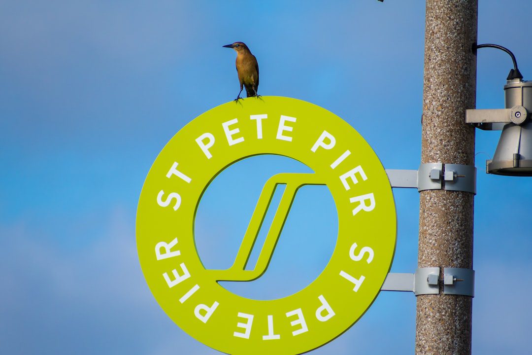 Photo PSG logo